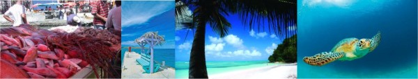 Banner-Grenadine-02