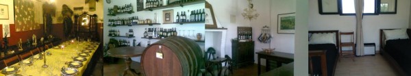 Banner-interni-Latina